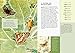 The Little Book of Butterflies: A Guide to Moths and Butterflies (Little Library of Natural History)