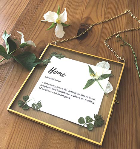 Beedecor Double Glass Frame For Pressed Flowers, Leaf And Artwork - Hanging Square 8X8 Metal Picture Frames, Clear Floating Pressed Glass Frame, Wall Decor Photo Display, Set Of 2 Flower Press Frames With Chain (Gold, 8X8) #TOP1