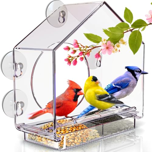 Premium Window Bird Feeder for Outside - Clear Bird House w/Largest Window for Viewing Birds - Easy to Install & Sturdy Feeder w/Extra Strong Suction Cups - Perfect for Kids, Adults and Cats