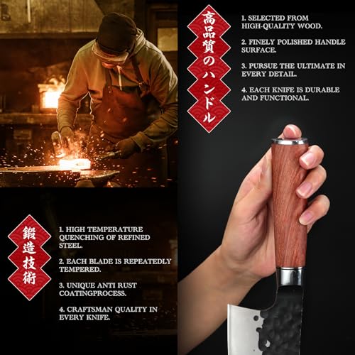 View 5