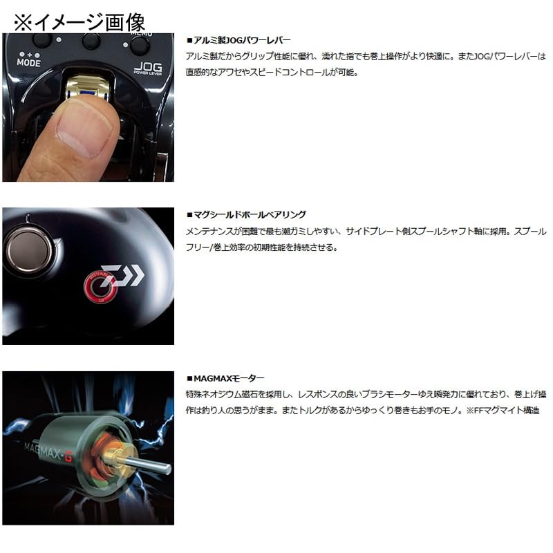 Amazon.com : Daiwa Sea Borg 400J Electric Reel : Sports & Outdoors