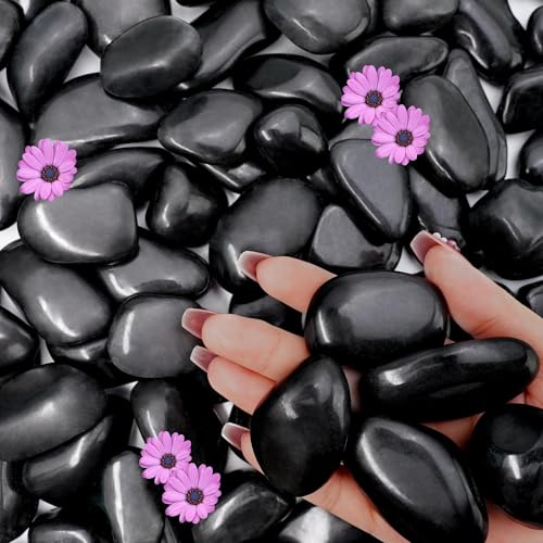 NUPICK Black River Rocks