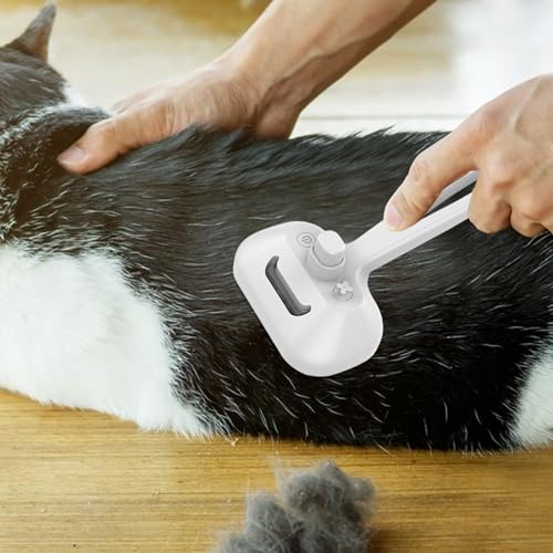 Removedor de pelo multifuncional con vapor 7