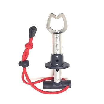 カルル・フリードリッヒ・シンケル 真鍮製 海馬と人魚 ウォッシュコンポート 80ガロンの金魚水槽。どう思う？何か提案ある？ : r/Goldfish