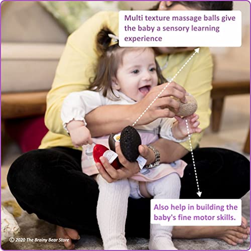 Combo-Offer-Pack-of-3-Brainy-Bear-Subscription-Boxes-4-12-Months-Learning-wooden-toys-toddlers-babies-preschoolers-Birthday-Gifts-Learning-toys-for-girls-boys-Early-Child-Development-Sensory-Learning-