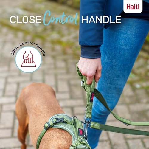 Image of Halti Anatomy Multifunctional Dog Leash | Size Large, Magenta | Shock Absorbing Double-Ended Leash, Ideal for Puppy and Dog Walking & Training. Comfortable to Hold, Reflective & Lightweight