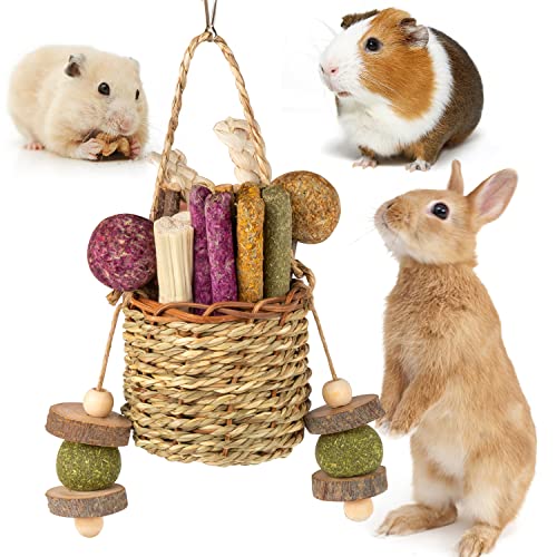 Sofier Rabbit Toys Bunny Toys Hamster Toys Guinea Pig Toys Natural Seagrass Hanging Basket With Timothy Hay Treats Apple Wood Stick Handmade Rabbit Chew Toys For Teeth Chinchilla Rat #TOP6
