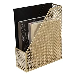 BLU MONACO Gold Magazine File Holder – Decorative Magazine Holder for Desk – Metal Magazine Holders for Shelves – Magazine Organizer Bin – Book Holder and File Boxes
