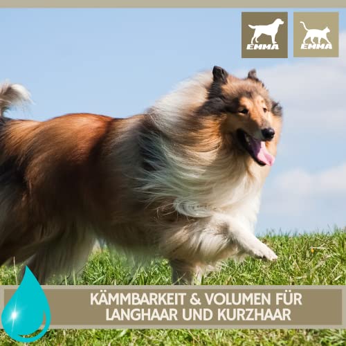 EMMA Fellpflege Spray Hund & Katze 2×250 ml Entfilzungsspray für Hunde Katzen Welpen – Anti Filz Spray für Langhaar Kurzhaar – Knotenlöser Detangler Fellspray zum Entfilzen Bürsten Pflege