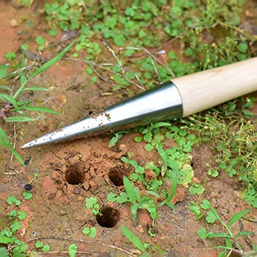 Bulb Planter de Jardín de Acero Inoxidable con Mango de Madera 11" miniatura 3