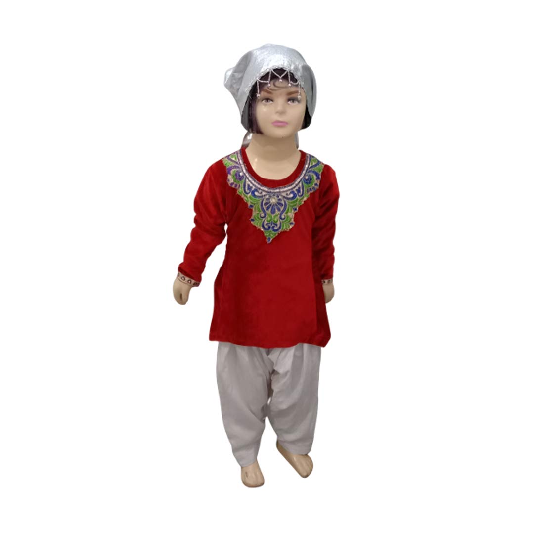 ITSMYCOSTUME Kashmiri Girl Indian State Fancy Dress Costume for Kids & Adults 13-15 Years (B089S8JF22) Amazon Price History, Amazon Price Tracker