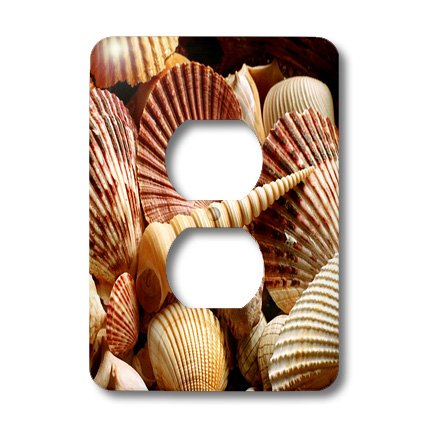 Beau coquillage de mer rose 2 prises pour une ambiance de chambre marine