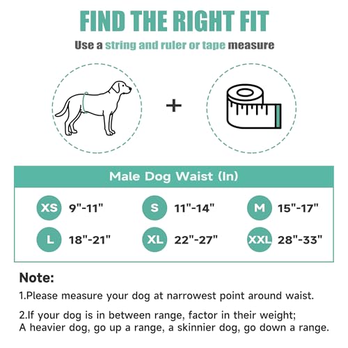 Image of wegreeco Washable Male Dog Diapers (Pack of 3) - Washable Male Dog Belly Wrap (Geometrical Blue Green Coffee, X-Small)