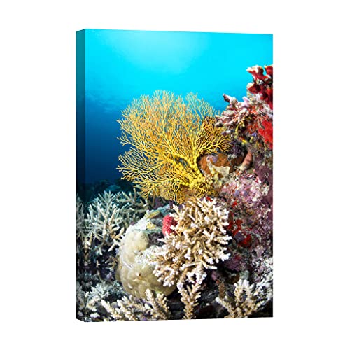 Toile canvas Nature DCL356-2 pour créer une ambiance zen de nuit