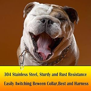 2-Pack-Dog-Tag-Clips-Durable-Dog-ID-Tag304-Stainless-Steel-Quick-Clip-and-RingsEasy-Change-Pet-ID-Tag-Holder-for-Dog-Cat-Collars-and-Harnesses - Cucciolini Doodles   2-Pack-Dog-Tag-Clips-Durable-Dog-ID-Tag304-Stainless-Steel-Quick-Clip-and-RingsEasy-Change-Pet-ID-Tag-Holder-for-Dog-Cat-Collars-and-Harnesses