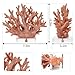 vlinlvo Coral Coastal Decor, Artificial Resin Coral Reef Statue, Coastal Room Decor Beach Decorations for Home Bathroom Bedroom,Ocean Themed Decor for Office,Aquarium,7.5''Lx6.3''H, RB1001P, Pink