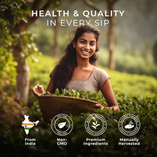 Image of Vanilla Chai Tea Pod (16 Count) - 100% Natural Caffeinated Black Tea