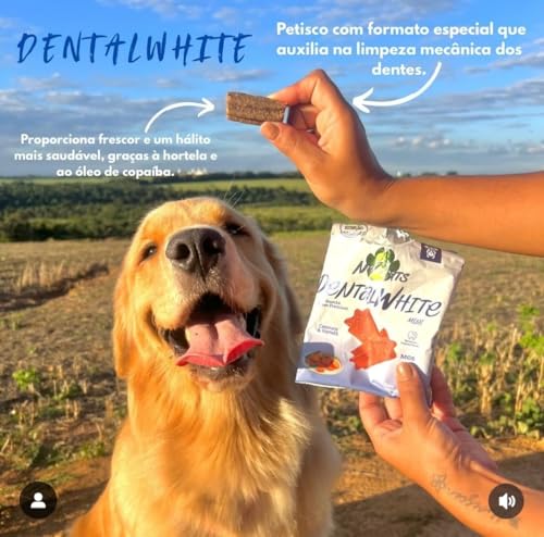 Petisco Dental Sticks Para Cães Dentalwhite Nutrats 150g