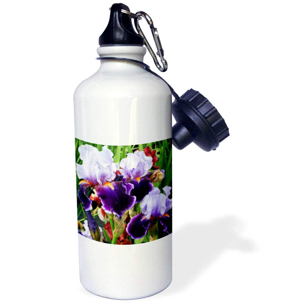 3dRose Purple Irises Sports Water Bottle 21 oz White