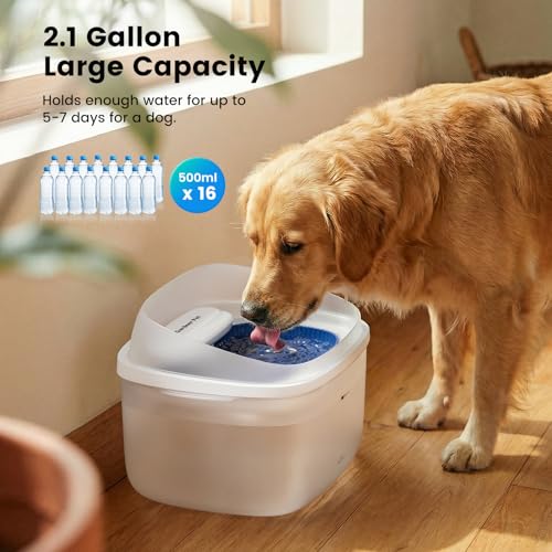 Gardner Pet Dog Water Fountain - 8L Capacity, Save with Code NFFBI6AA