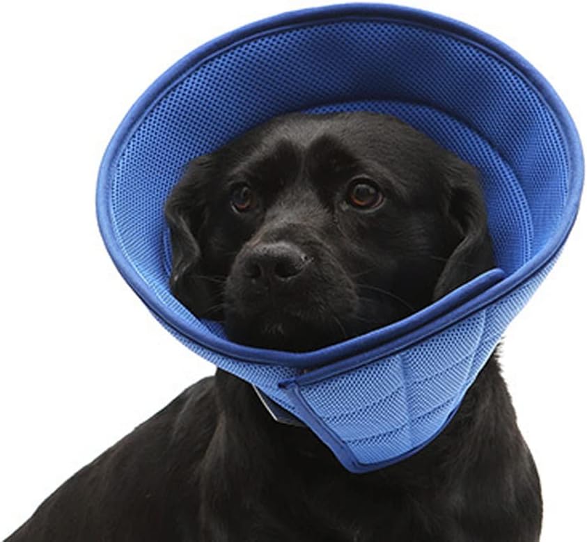 HanryDong Blue Dog Elizabethan Collar, Cat Soft Recovery Cone, Quicker