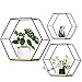 3er Set Metall Hexagon Wandregal, Europäische Hexagon geometrische Linie Design Wand Wand Regal mit Holzregalen, für Wohnung, Arbeitszimmer, Schlafzimmer, Wohnzimmer, Flur (schwarz)