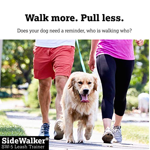 sidewalker leash trainer