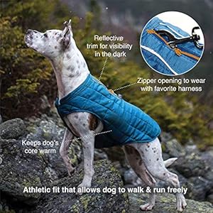 Kurgo Loft Dog Jacket Reversible Dog Coat Wear with Harness or Sweater Water Resistant Reflective Winter Coat for Large Dogs ink Blue L  Cucciolini Doodles Kurgo loft dog jacket reversible dog coat wear with harness or sweater water resistant reflective winter coat for large dogs ink blue l   cucciolini doodles