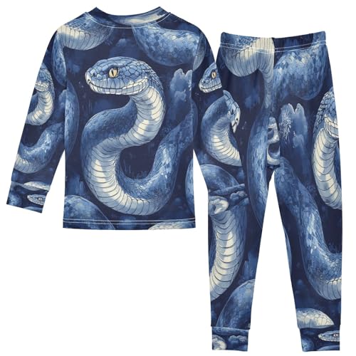 Pajama Sets Long Sleeve Blue Snake Watercolor Soft Comfy Sleepwear 2 Piece PJS 3-8T3