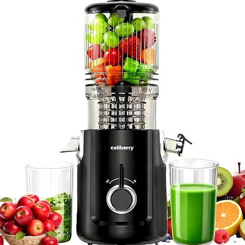 Image of Cold Press Juicer Machines, 5.3 inch Large Feed Chute Slow Juicer | 60s Easy To Clean Masticating Juicer for Whole Fruits & Vegetables, 300 W Quiet Juice Extractor, 99% High Juice Yield
