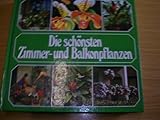 Die schönsten Zimmer- und Balkonpflanzen.