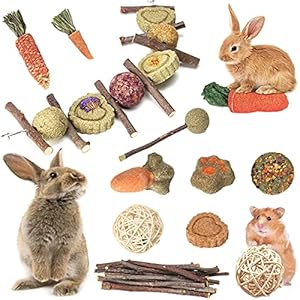 X-pet 12 Pcs Rabbit Chew Toys and G...