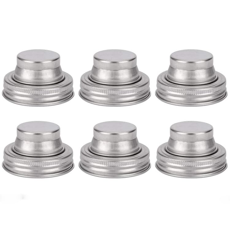 Shaker pour bocaux à bouche normale et couvercle acier inoxydable étanche x2