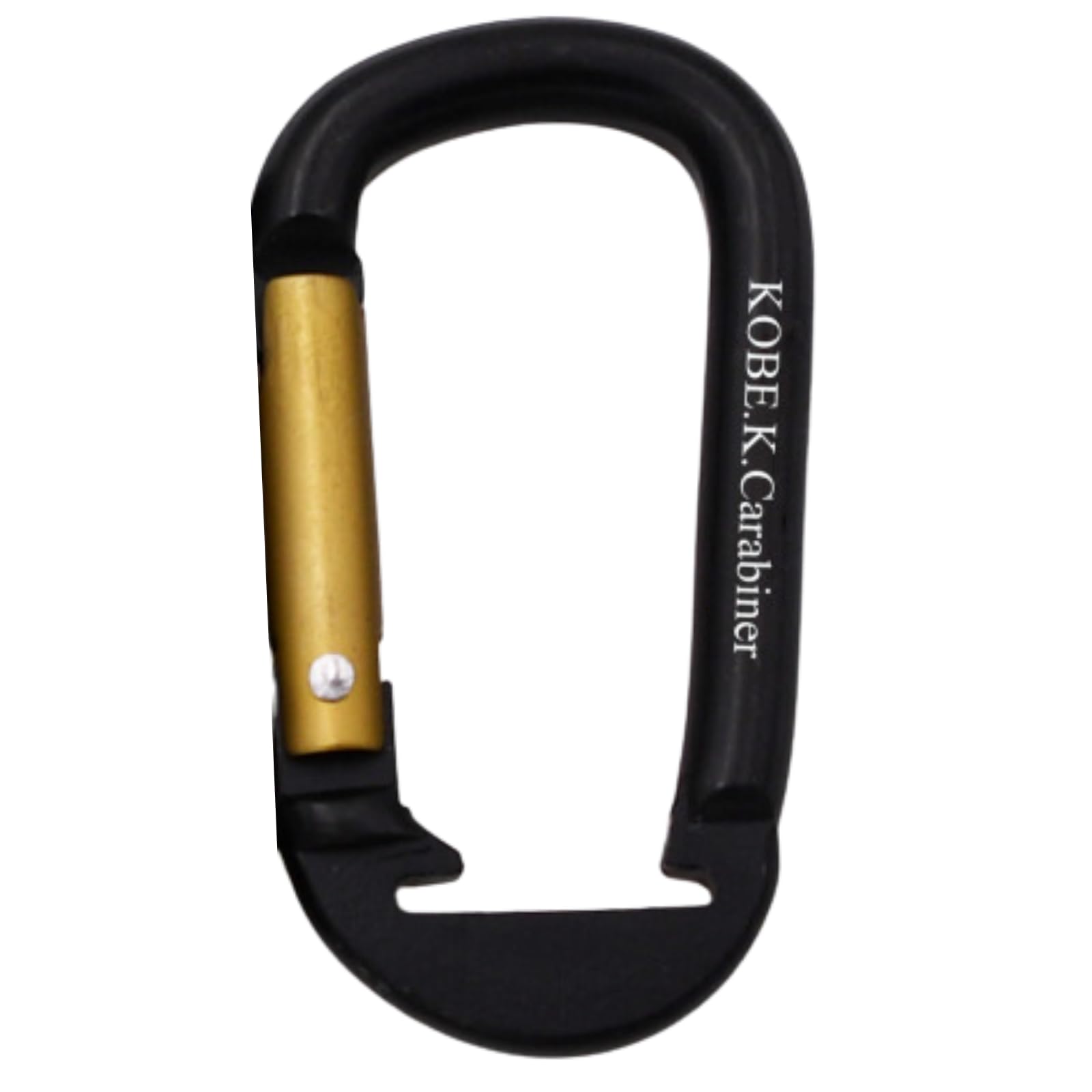 パナマ産 カリーニキンイロコガネ 22mm パナマ産 カリーニキンイロ