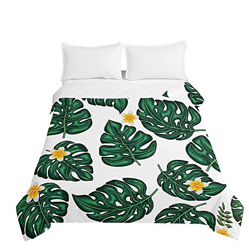 Highdi Colcha de Verano Impresión de Plantas, Colcha para Verano Reversible Ligera y Suave Microfibra Cubre Cama Fina, Colchas Cama Individuales Dobles Modernas (Plumeria,230x280cm)