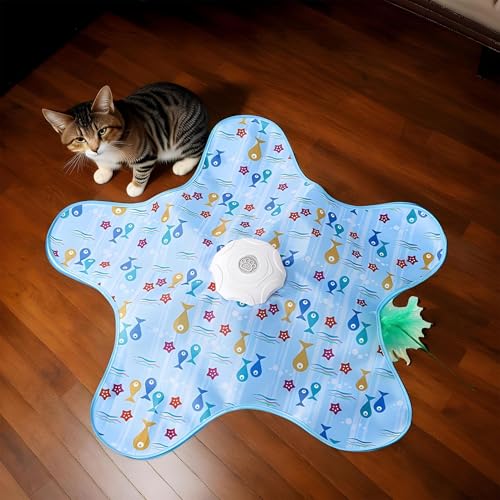 Jouet interactif pour chat avec tapis d'activité et sphère à roulement rapide rechargeable