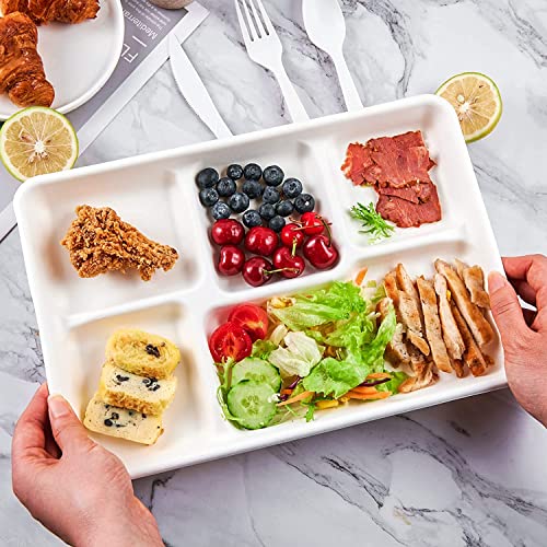 [500 Pack] 5 Compartment Trays, 100% Compostable Paper Plate Tray, School Bagasse Lunch Trays, Buffet, And Party, Disposable Trays With 5 Compartment, Biodegradable, White (4821011) #TOP3