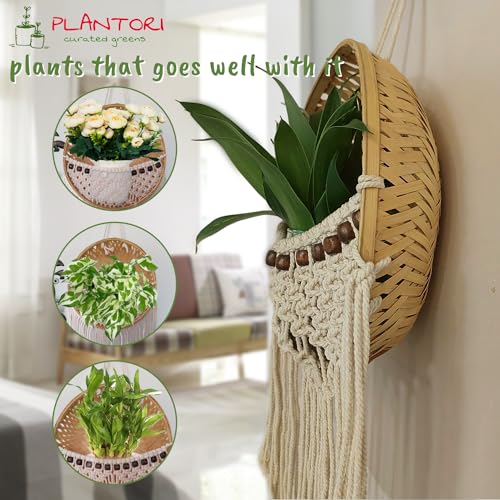 PLANTORI Set of 2 Hanging Planters for Living Room | Indoor Plant Pots and Planters for Home | Beautiful Flower Pots | Hanging Basket Diameter - 9 inches