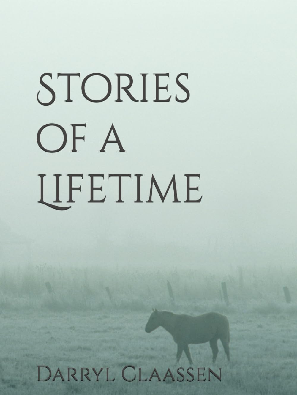 Stories of a Lifetime: Using Words that Rhyme