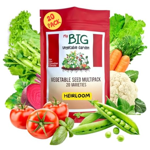 Lot de 20 variétés de semences de légumes anciennes – Graines de légumes de jardin à planter au Canada à partir d'Oh! Canada Graines de jardin, sans OGM Kit de variétés canadiennes