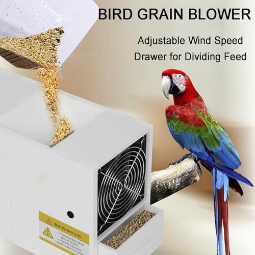 Nettoyage des graines d'oiseaux sans poussière grâce au trieur ventilé