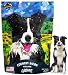Gibsons Country Bacon with Pork - Human Grade USA Soft Jerky Dog Treats, 3 oz