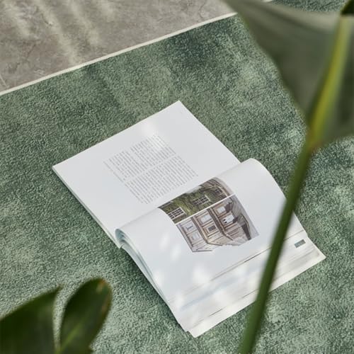 Tapis lavable grande surface anti-poussière pour chambre - 4