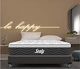 Sealy Cushion Foam Colchón Línea Nueva en Evolution Individual con 10 Años de Garantía.