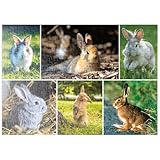 MyPuzzle.com