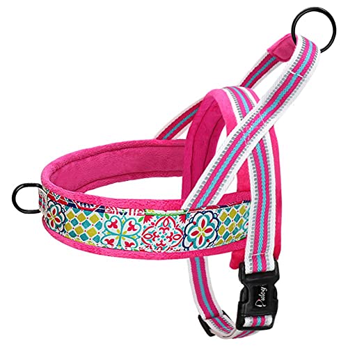 Harnais pour chien bulldog ne tire pas rembourré en nylon rose