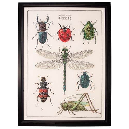 Thea Gouverneur - Counted Cross Stitch Kit - The History of Insects - Aida - 14 Count - Embroidery Kit for Adults - DMC Embroidery Threads and Other Cross Stitch Supplies Included - 566A
