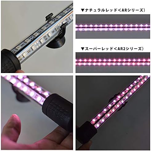 Amazon でんらい アロワナ ライト 水中 照明 Led 2列 真朱龍灯 ナチュラルレッド 180cm水槽用 173cm Ar180ex Denrai Asia ライト 照明 通販