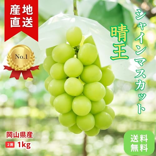 ノーブランド品 シャインマスカット 晴王 岡山県産 の商品画像 1