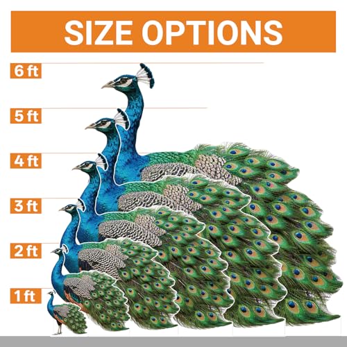 Image of Peacock Life Size Cardboard Cutout, 3FT, 1 PC, for Party | Life Size Animal Cardboard Cutout Standup for Events, Birthday & Party Decor, Holiday Photos & Backdrops